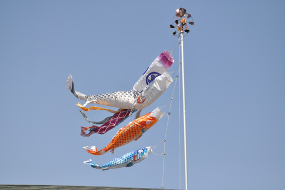 20200801.jpg"